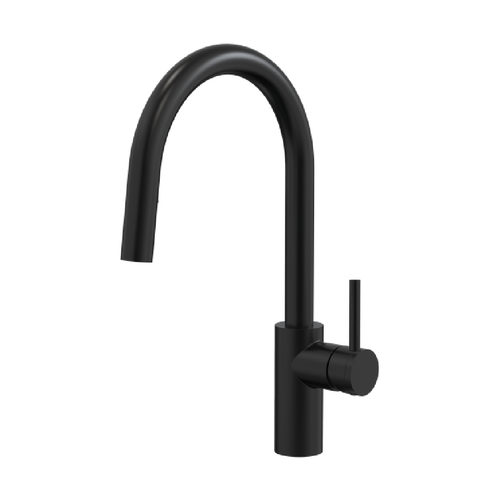 Newtech shower Evoke Gooseneck Pull Out Sink Mixer | Black