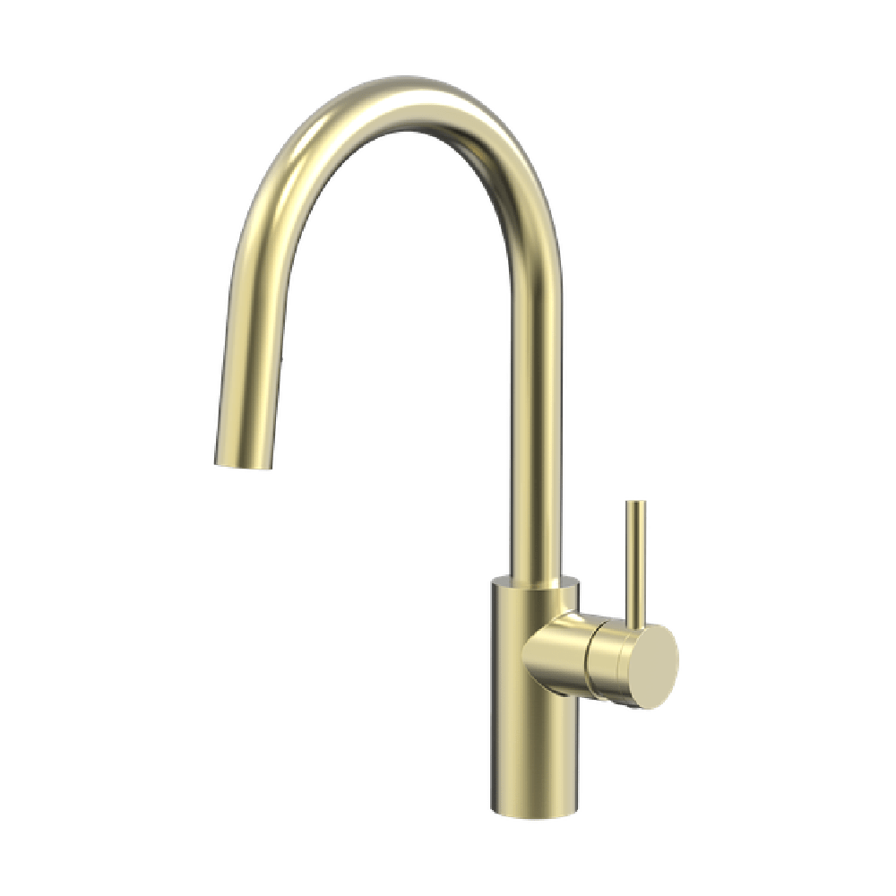 Newtech shower Evoke Gooseneck Pull Out Sink Mixer | Brushed Brass